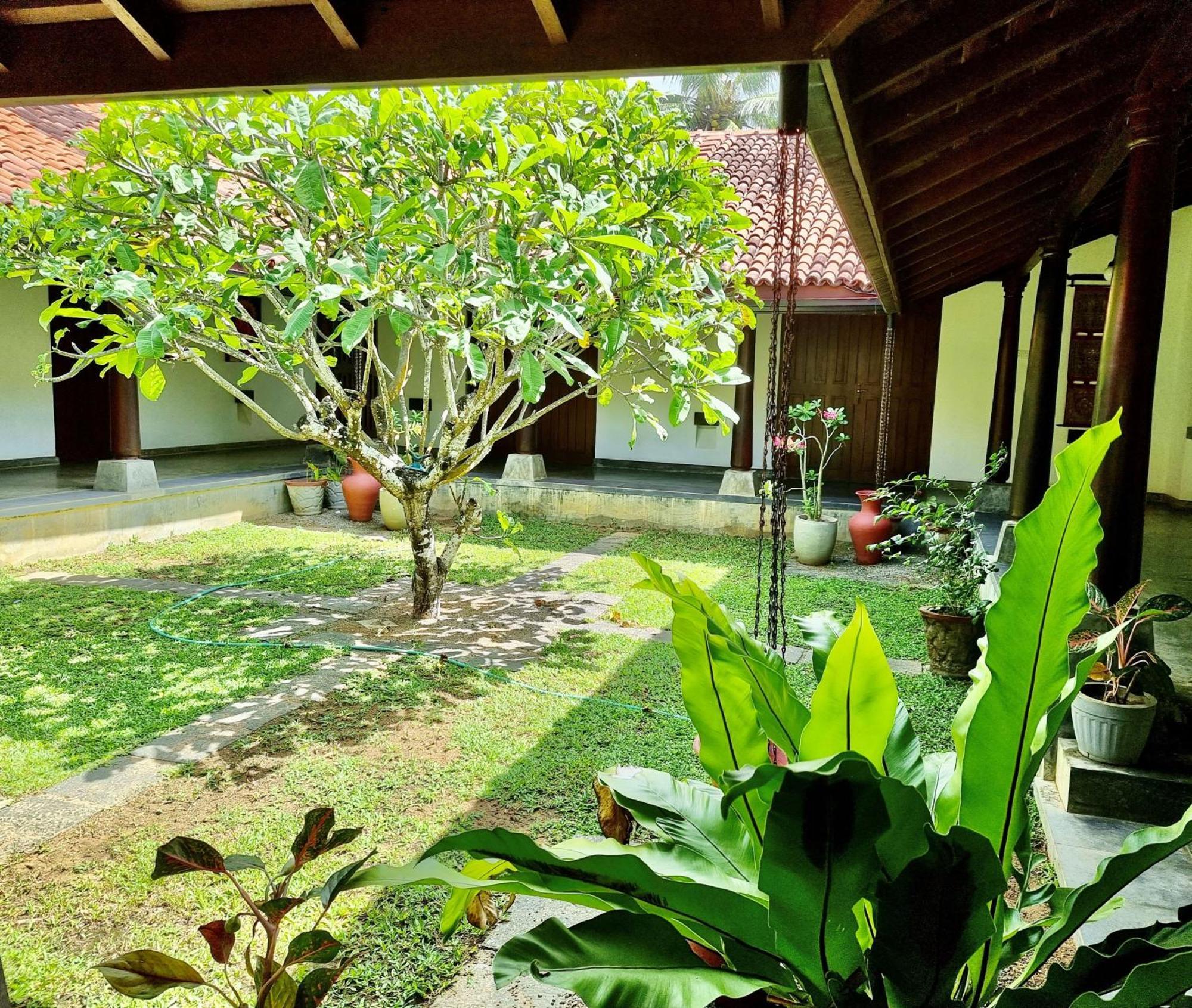 Ardeen Villa - Superb 3 Bedroom Beachfront For 6, Bb, Free Pick Up For 7 Night Stays Arriving Together, Fully Serviced, Taxes Included 탕갈레 외부 사진